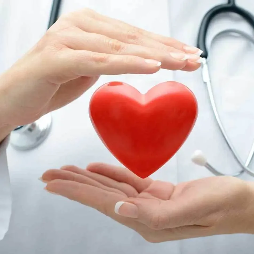 تصویر مقاله